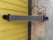 Ladeluftkühler Mercedes-Benz A-Klasse (W169) A1695000000