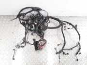 Kabel Motor Renault Laguna Coupe (T) 240118737R