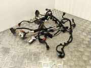 Kabel Motor Citroen C4 Aircross () 9811255780