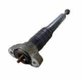 Stoßdämpfer hinten links MASERATI GHIBLI (M157) 3.0 06700088990