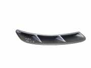 Kotflügelzierleiste vorne rechts FORD S-MAX 2.0 TDCi 6M2116C216AD