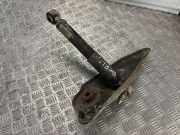 Stoßdämpfer rechts hinten Citroen C4 Grand Picasso (U)