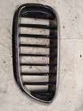 Vorderer oberer Gitter BMW 5 (G30) 530 e iPerformance 7390867