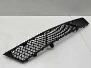 Gitter vorne unten BMW 5 Gran Turismo (F07) 530 d