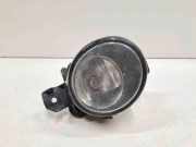 Nebelscheinwerfer vorne rechts RENAULT LAGUNA II (BG0/1_) 1.9 dCi (BG08, BG0G) 89201785 8200002470