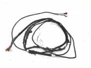 Kabelbaum RENAULT GRAND SCÉNIC III (JZ0/1_) 1.5 dCi 26815301 7580832