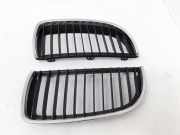 Vorderer oberer Gitter BMW 3 Touring (E91) 320 i 7120008