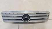 Vorderer oberer Gitter MERCEDES-BENZ A (W168) A 160 (168.033, 168.133) 1688800083