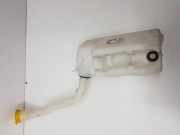 Fensterwaschtank RENAULT MEGANE III Coupe (DZ0/1_) 2.0 R.S. 289102576R
