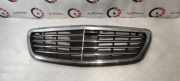 Vorderer oberer Gitter MERCEDES-BENZ S (W222, V222, X222) S 500 4-matic (222.085, 222.185) A2228800483