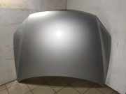 Motorhaube VW Touareg II (7P)