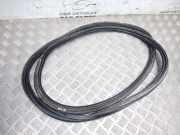 Dichtung für Koffer-/Laderaumklappe Hyundai i20 (PB)