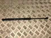 Heckklappe Gasdruckfeder rechts AUDI A5 (8T3) 2.0 TDI