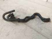 Kraftstoffleitung Audi A4 (8E, B7) 038906081B