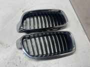 Vorderer oberer Gitter BMW 3 (F30, F80) 320 i