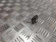 Sensor für Außentemperatur Audi A4 Avant (8E, B6) 1J0973702