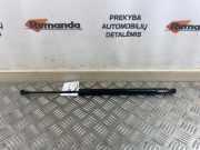 Gasfeder für Motorhaube Renault Modus - Grand Modus (P) 8200665709