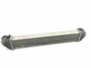 Ladeluftkühler MERCEDES-BENZ A (W169) A 180 CDI (169.007, 169.307) A1695000000