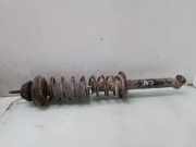 Stoßdämpfer hinten rechts VW POLO (6N1) 64 1.9 SDI