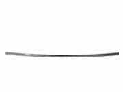 Stoßstangenierleiste hinten links JAGUAR S-TYPE (X200) 2.7 D 4R8317E911A