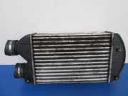 Ladeluftkühler Fiat Bravo I (182)