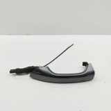 Türaußengriff vorne links AUDI Q8 (4MN) 3.0 55 TFSI Mild Hybrid quattro 4M8837205B