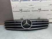 Vorderer oberer Gitter MERCEDES-BENZ CLK (C209) 270 CDI (209.316) A2098880052