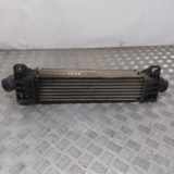 Ladeluftkühler FORD MONDEO III (B5Y) 2.0 16V TDDi / TDCi 869863A