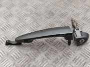 Türaußengriff vorne rechts BMW 3 Touring (E91) 320 d E9XR16