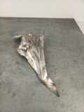 Heat Insulation BMW 5 (E60) 535 d 3114677942602