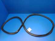 Türgummi links vorne Audi A3 Cabriolet (8V) 8V5831721