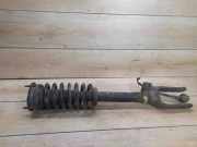 Stoßdämpfer vorne links MERCEDES-BENZ R (W251, V251) R 320 CDI 4-matic (251.022, 251.122) 267W116