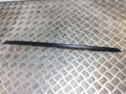 Zierleiste Windschutzscheibe Frontscheibe BMW X6 (F16, F86) xDrive 30 d 7462218