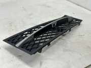 Kühlergrill unten BMW 5er (F10) 51117200698