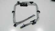 SRS Modul Dach links BMW 3 Touring (E91) 320 d 30380424B 1019969830176