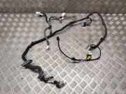 Kabel Tür vorne rechts NISSAN QASHQAI II (J11, J11_) 1.6 dCi 241244EA1A