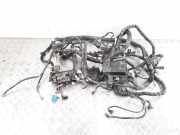 Motor Kabelbaum NISSAN PRIMERA Estate (WP12) 2.2 Di 24012AV012