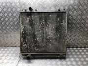 Kühler Hyundai Terracan (HP) 25310H1920