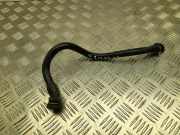 Kraftstoffrohr PORSCHE PANAMERA (970) 3.0 S E-Hybrid 97020138100