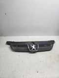 Gitter PEUGEOT 406 Break (8E/F) 2.0 16V 9631250277