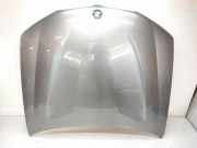Motorhaube BMW X3 (F25) xDrive 30 d