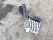 Ladeluftkühler HYUNDAI GETZ (TB) 1.5 CRDi