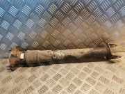 Stoßdämpfer hinten links MERCEDES-BENZ M (W164) ML 350 4-matic (164.186)