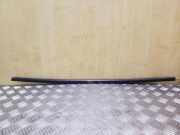Fensterleiste Tür vorne links SKODA FABIA I (6Y2) 1.4 TDI