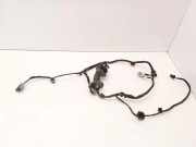 Türverkabelung hinten links CITROËN C3 I (FC_) 1.6 16V HDi 9689005080