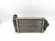 Ladeluftkühler VW POLO (6N2) 1.4 TDI 862374X IA1174