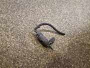Wischwassertankmotor NISSAN PRIMERA Estate (WP12) 1.8