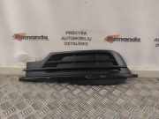 Kühlergrill unten VW Arteon (3H) 3G8853665