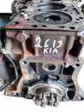 Motor ohne Anbauteile (Diesel) Kia Carnival II (UP) J3K2