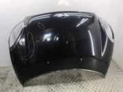 Motorhaube Mini Mini Countryman (R60)